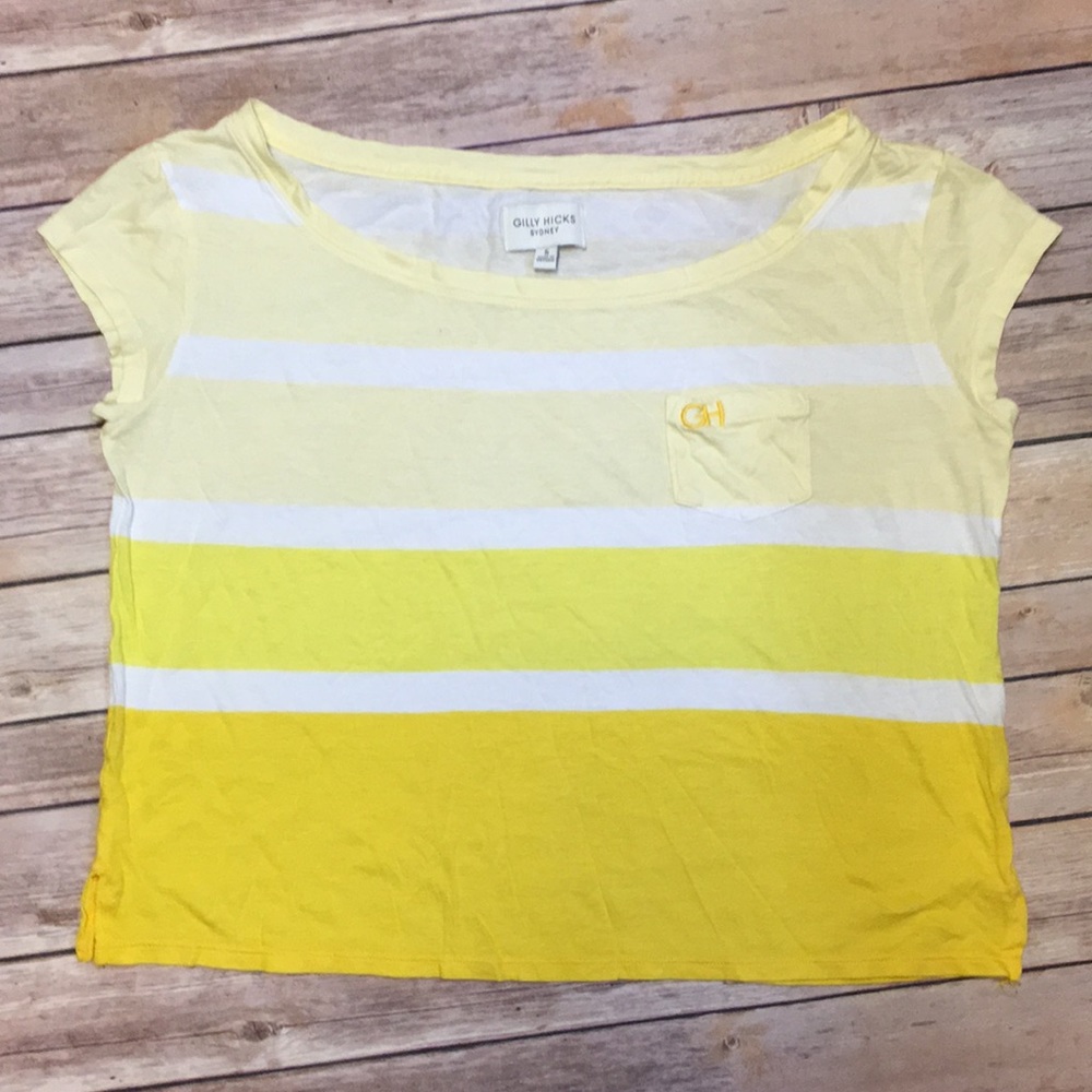 Gilly Hicks Crop Top
